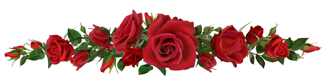 Ever wondered why red roses are symbolic of romance and love?