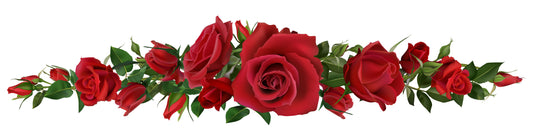 Ever wondered why red roses are symbolic of romance and love?